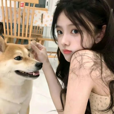 飞起来吧蝴蝶